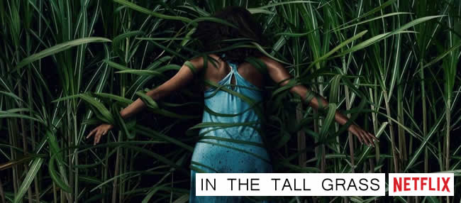 In The Tall Grass - Filme - Cremosindie - Netflix